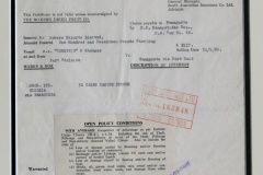 100.SOUTH AUSTRALIAN INSURANCE CO LTD