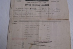 203.COMPANHIA DE SEGUROS FIDELIDADE