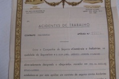 204.COMMERCIO E INDUSTRIA COMPANHIA DE SEGUROS