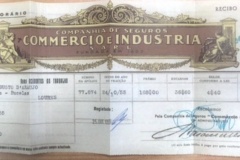 225.COMMERCIO E INDUSTRIA COMPANHIA DE SEGUROS