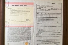 238.PHOENIX ASSURANCE COMPANY LTD