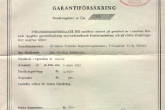 243.FORSAKRINGSAKTIEBOLAGET IRIS