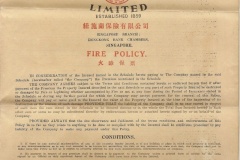 264.THE NEW ZEALAND INSURANCE COMPANY