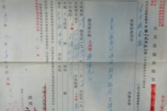 266.PEOPLE'S INSURANCE