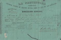 269. COMPANIA DE SEGUROS SOBRE LA VIDA DE LOS ESCLAVOS "LA PROTECTORA”