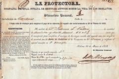 270.COMPANIA DE SEGUROS SOBRE LA VIDA DE LOS ESCLAVOS LA PROTECTORA