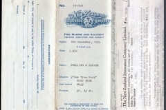 281.THE NEW ZEALAND INSURANCE COMPANY