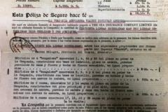 316.THE SEA INSURANCE COMPANY LTD