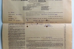 331.THE EAGLE STAR BRITISH DOMINIONS