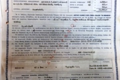 385.Η ΕΘΝΙΚΗ ΑΝΩΝΥΜΟΣ ΕΛΛΗΝΙΚΗ ΕΤΑΙΡΙΑ ΓΕΝΙΚΩΝ ΑΣΦΑΛΙΣΕΩΝ