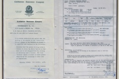 96.CALEDONIAN INSURANCE COMPANY