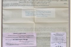 22.THE PHENIX INSURANCE COMPANY