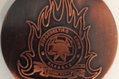 314.ΠΥΡΟΣΒΕΣΤΙΚΟΝ ΣΩΜΑ ΕΛΛΑΔΟΣ