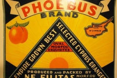 1003428_141920499342165_1180074577_n