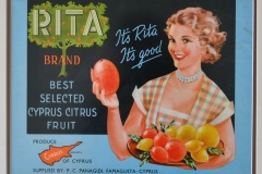 170.RITA BRAND BEST SELECTED CYPRUS CITRUS FRUIT FAMAGUSTA