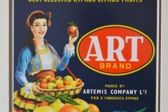164.ART BRAND  BEST SELECTED CYPRUS CITRUS FRUITS FAMAGUSTA
