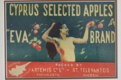 165.EVA BRAND CYPRUS SELECTED APPLES  FAMAGUSTA