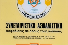 120.ΣΥΝΕΤΑΙΡΙΣΤΙΚΗ ΑΣΦΑΛΙΣΤΙΚΗ