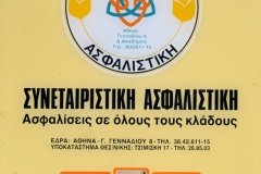 120.ΣΥΝΕΤΑΙΡΙΣΤΙΚΗ ΑΣΦΑΛΙΣΤΙΚΗ