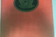 192.THE WINGS OF THE PHOENIX 192.THE WINGS OF THE PHOENIX